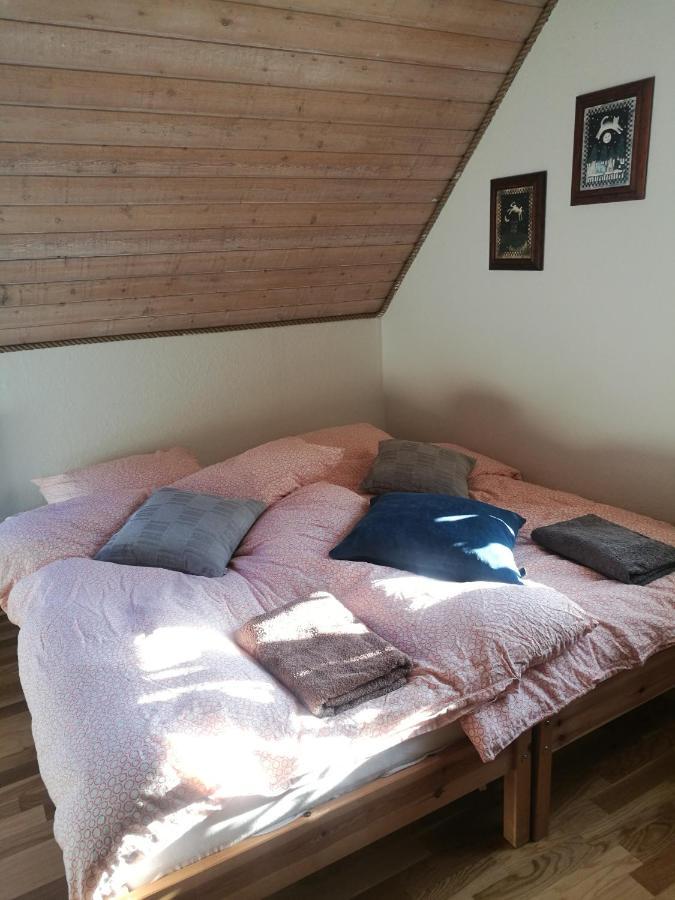 Green Vagon, Farm B&B Rooms For Rent Hjørring Esterno foto