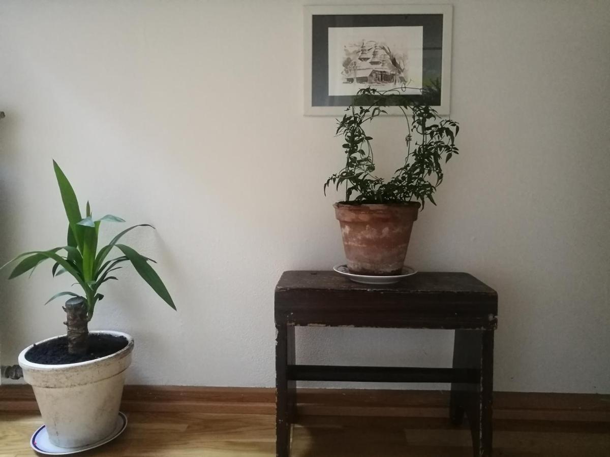 Green Vagon, Farm B&B Rooms For Rent Hjørring Esterno foto